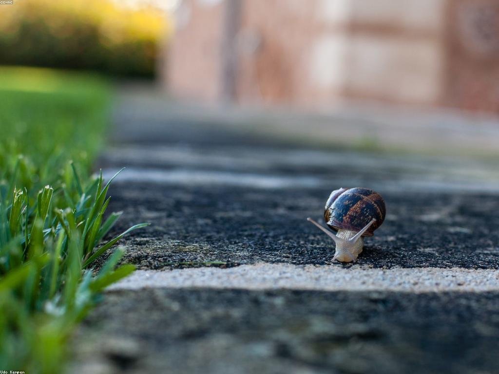 វាយតម្លៃភាពជោគជ័យនៃកម្មវិធីប្រាក់រង្វាន់មិនគិតថ្លៃ