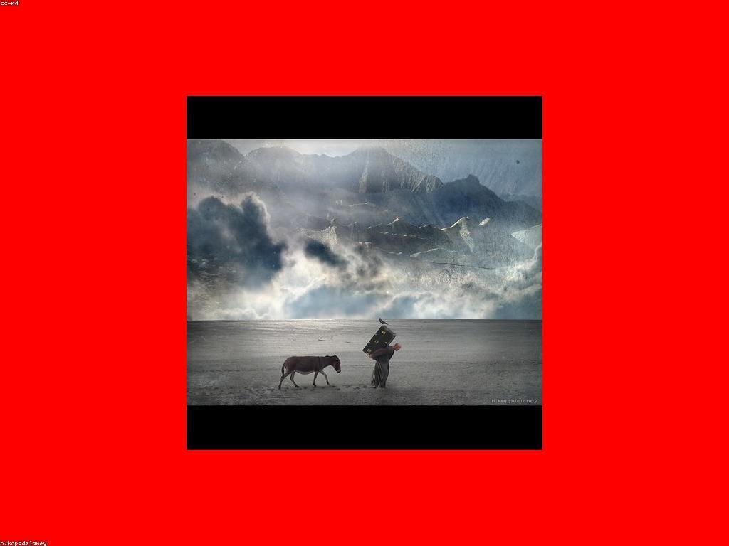 ចិត្តវិទ្យានៃប្រាក់រង្វាន់